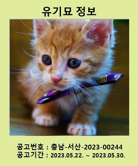 서산시 동물보호센터_444453202300346
